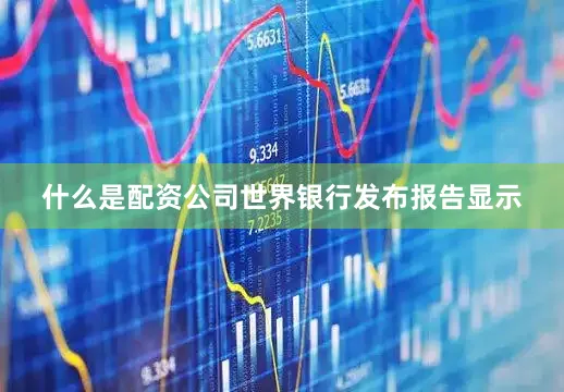 什么是配资公司世界银行发布报告显示