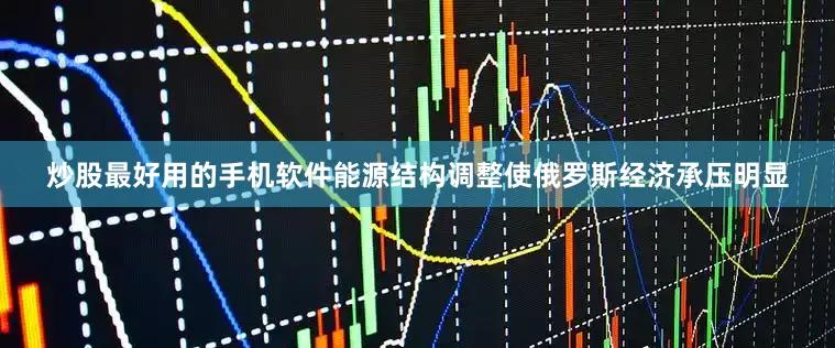 炒股最好用的手机软件能源结构调整使俄罗斯经济承压明显