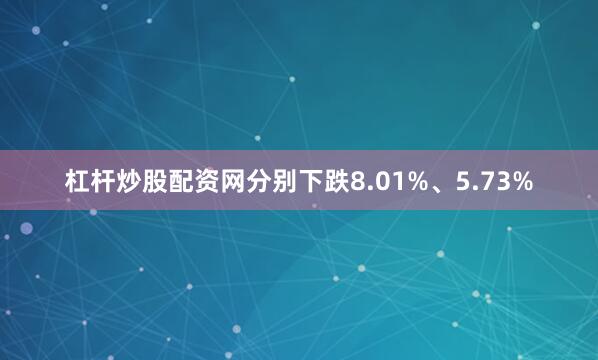 杠杆炒股配资网分别下跌8.01%、5.73%